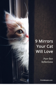 Purr-fect Reflections: 9 Mirrors Your Cat Will Love